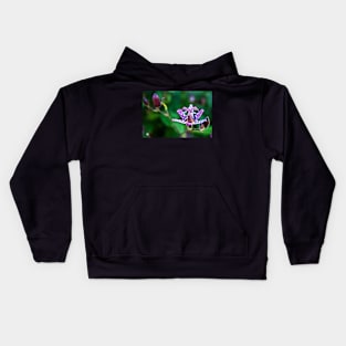 Tricyrtis flower ( Toad Lily ) Kids Hoodie